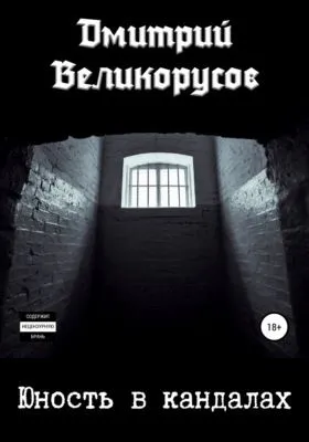 Юность в кандалах — обложка книги