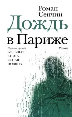 Дождь в Париже — обложка книги