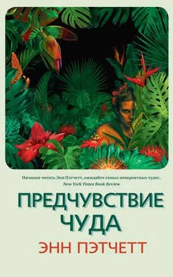 Предчувствие чуда — обложка книги
