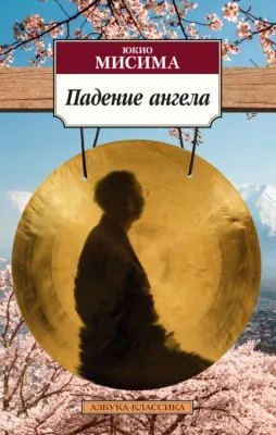 Падение ангела — обложка книги