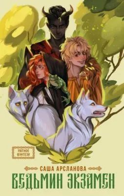 Ведьмин экзамен — обложка книги
