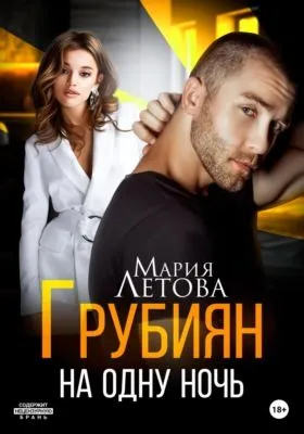 Грубиян на одну ночь — обложка книги