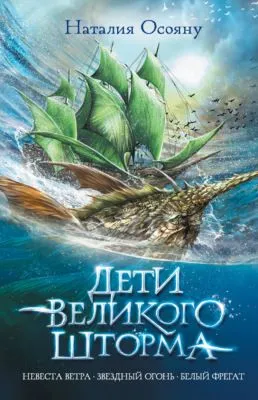 Дети Великого Шторма — обложка книги