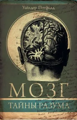 Мозг. Тайны разума — обложка книги