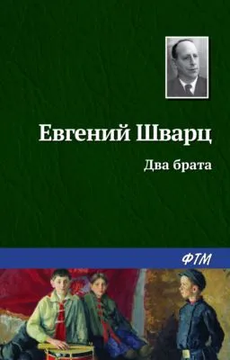 Два брата — обложка книги