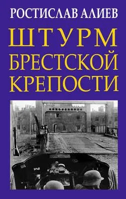 Штурм Брестской крепости — обложка книги