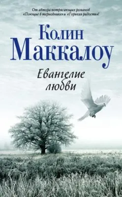 Евангелие любви — обложка книги