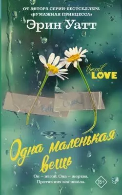 Одна маленькая вещь — обложка книги