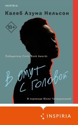 В омут с головой — обложка книги