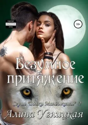 Безумное притяжение — обложка книги