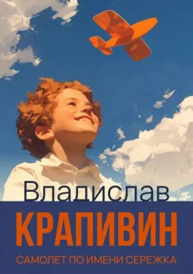 Самолет по имени Сережка — обложка книги