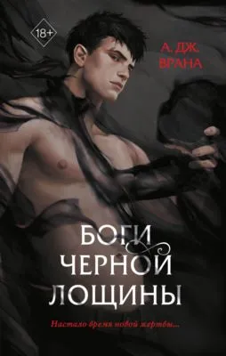 Боги Черной Лощины — обложка книги