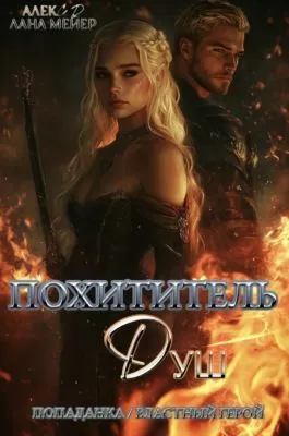 Похититель душ — обложка книги