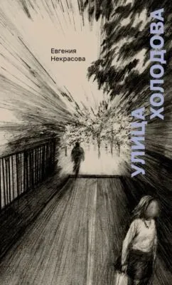 Улица Холодова — обложка книги