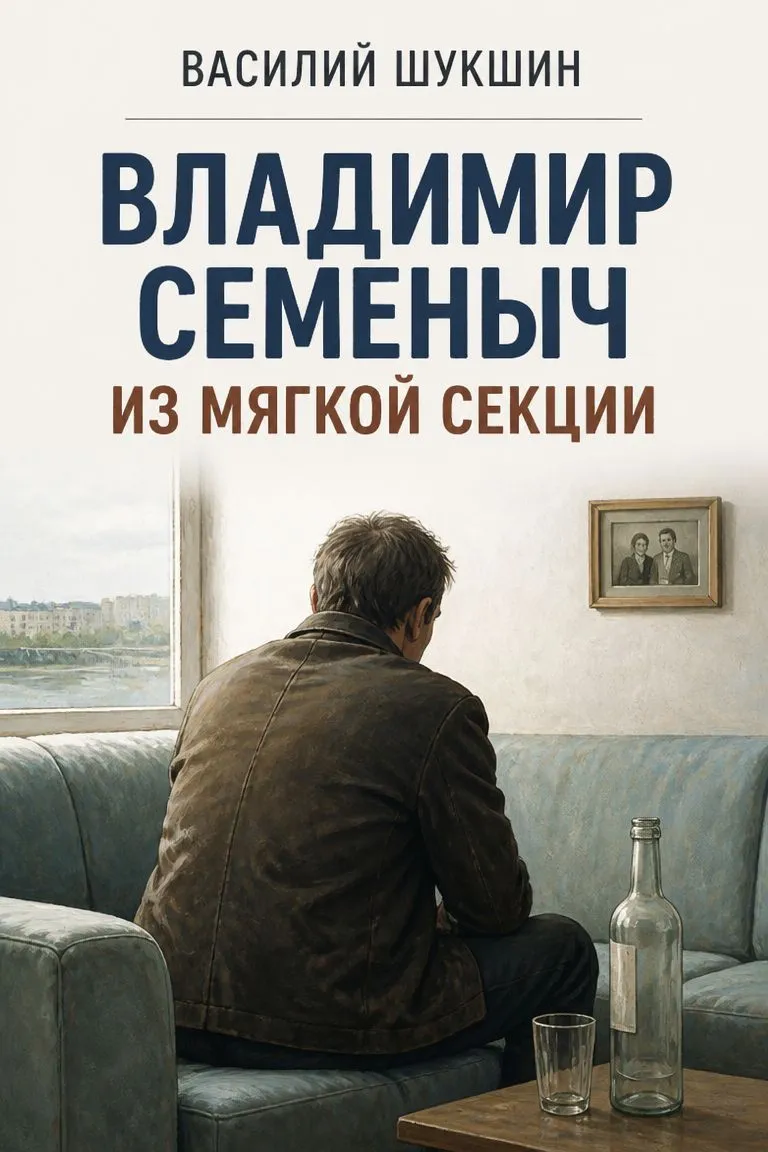Владимир Семеныч из мягкой секции — обложка книги