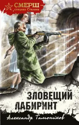 Зловещий лабиринт — обложка книги