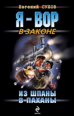 Из шпаны – в паханы — обложка книги