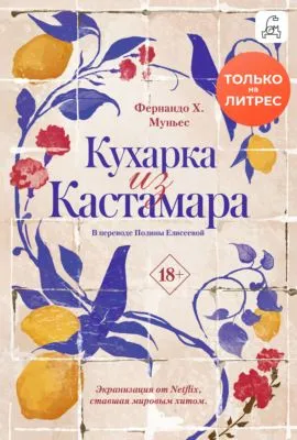 Кухарка из Кастамара — обложка книги