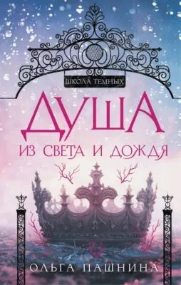 Душа из света и дождя — обложка книги
