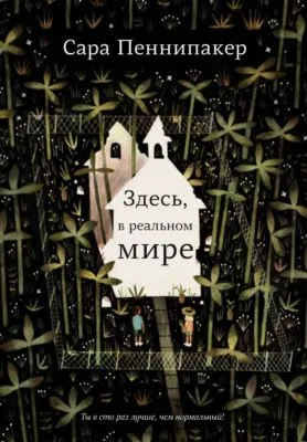 Здесь, в реальном мире — обложка книги