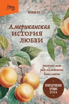 Американская история любви. Рискнуть всем ради возможности быть вместе — обложка книги