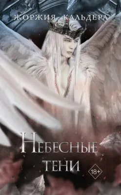 Небесные тени — обложка книги