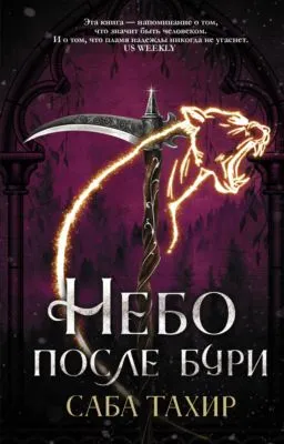 Небо после бури — обложка книги