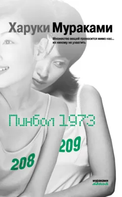 Пинбол-1973 — обложка книги