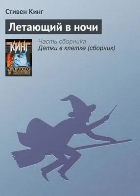 Летающий в ночи — обложка книги