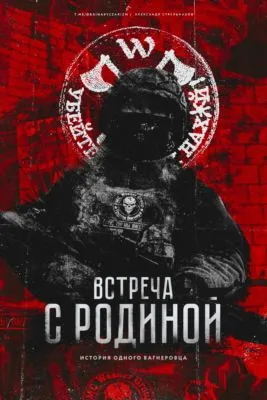 Встреча с родиной — обложка книги