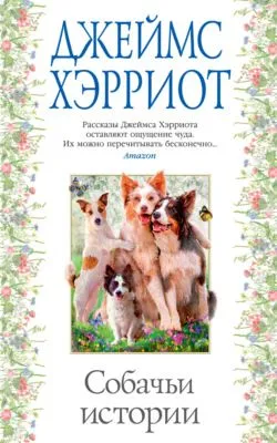 Собачьи истории — обложка книги