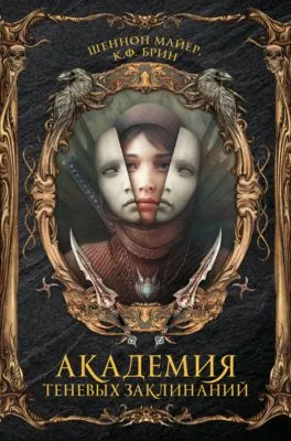 Академия теневых заклинаний — обложка книги