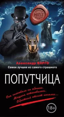Попутчица — обложка книги