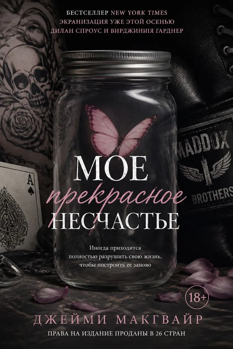 Мое прекрасное несчастье — обложка книги