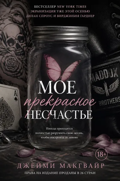 Мое прекрасное несчастье — обложка книги