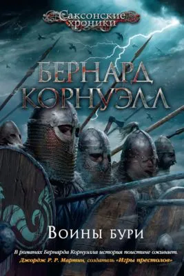 Воины бури — обложка книги
