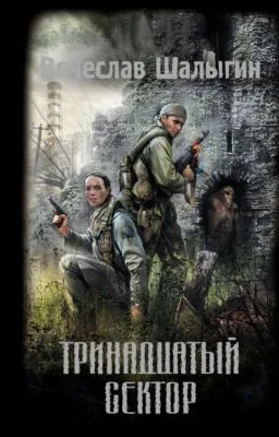 Тринадцатый сектор — обложка книги