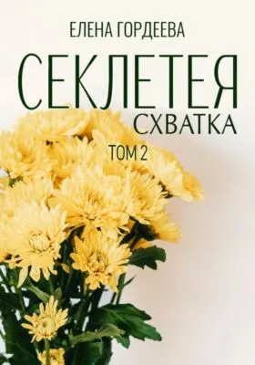 Секлетея. Схватка — обложка книги