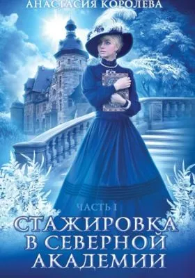 Стажировка в Северной Академии -1- — обложка книги