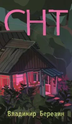 СНТ — обложка книги