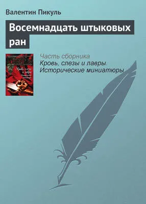 Восемнадцать штыковых ран — обложка книги