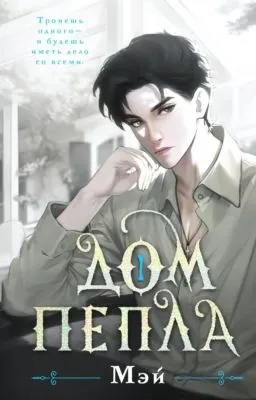 Дом пепла — обложка книги