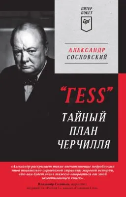«ГESS». Тайный план Черчилля — обложка книги