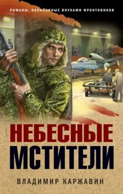 Небесные мстители — обложка книги