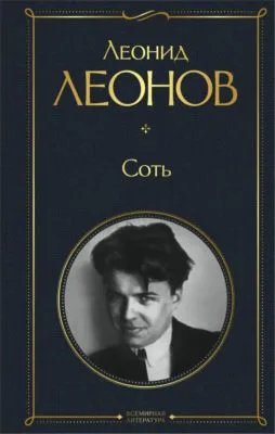 Соть — обложка книги
