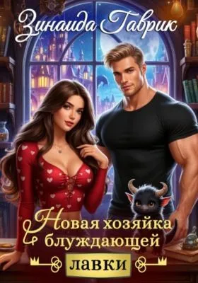 Новая хозяйка блуждающей лавки — обложка книги