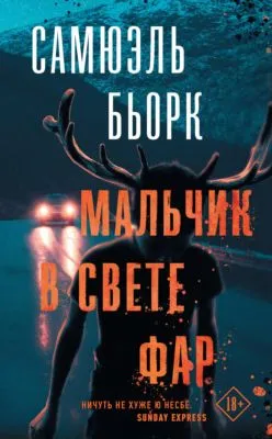 Мальчик в свете фар — обложка книги