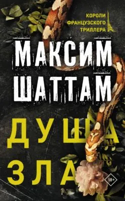 Душа зла — обложка книги