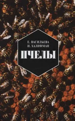 Пчелы. Повесть о биологии пчелиной семьи и победах науки о пчелах — обложка книги