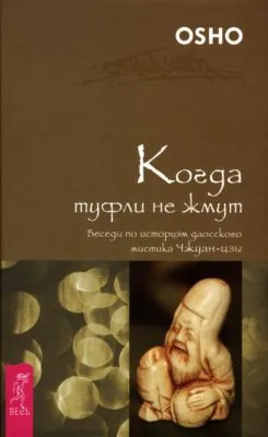 Когда туфли не жмут. Беседы по историям даосского мистика Чжуан-цзы — обложка книги